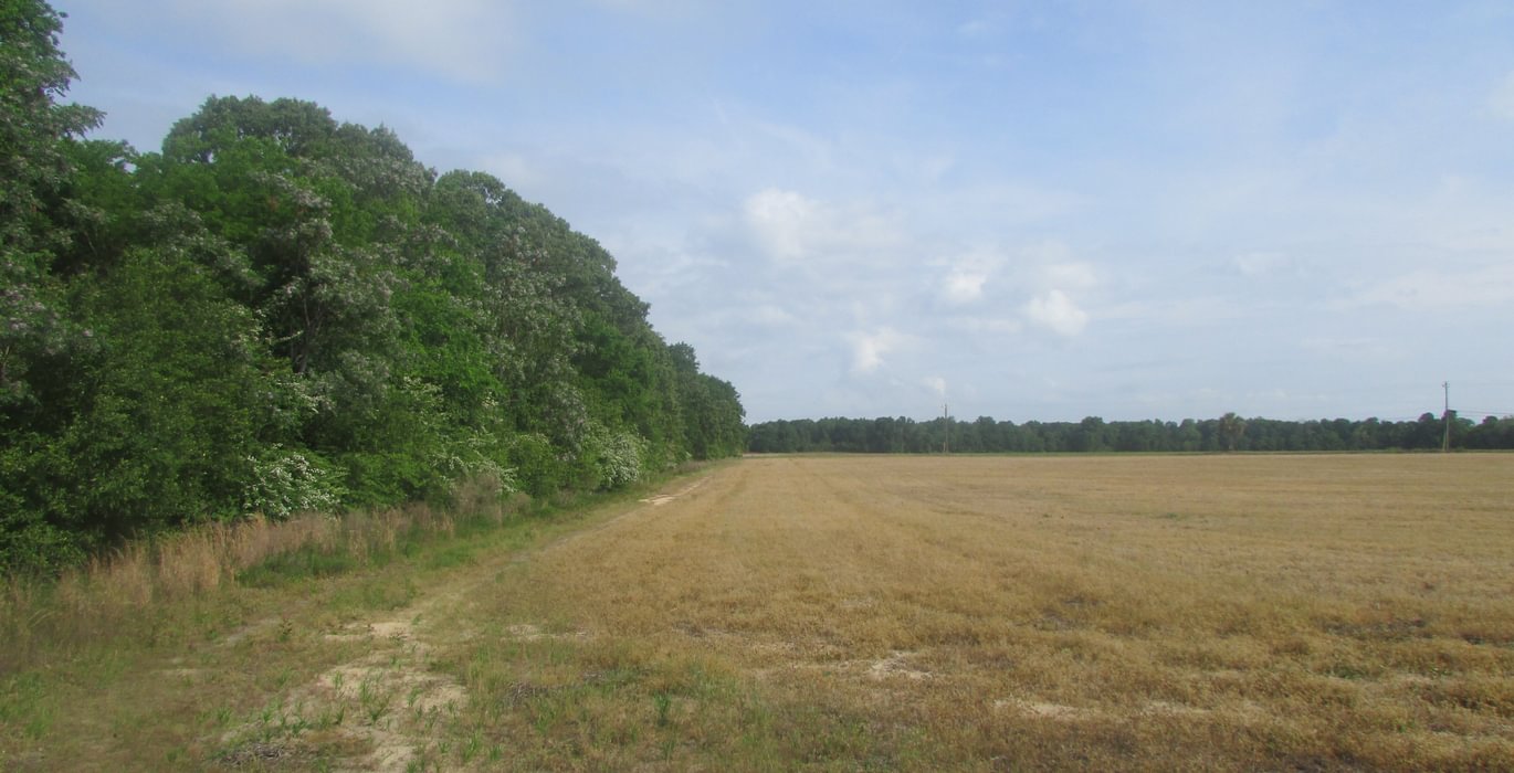 564 IMG 0712