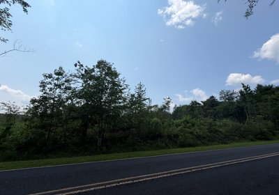 564 IMG 0117