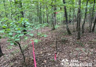 564 IMG 7546 Medium