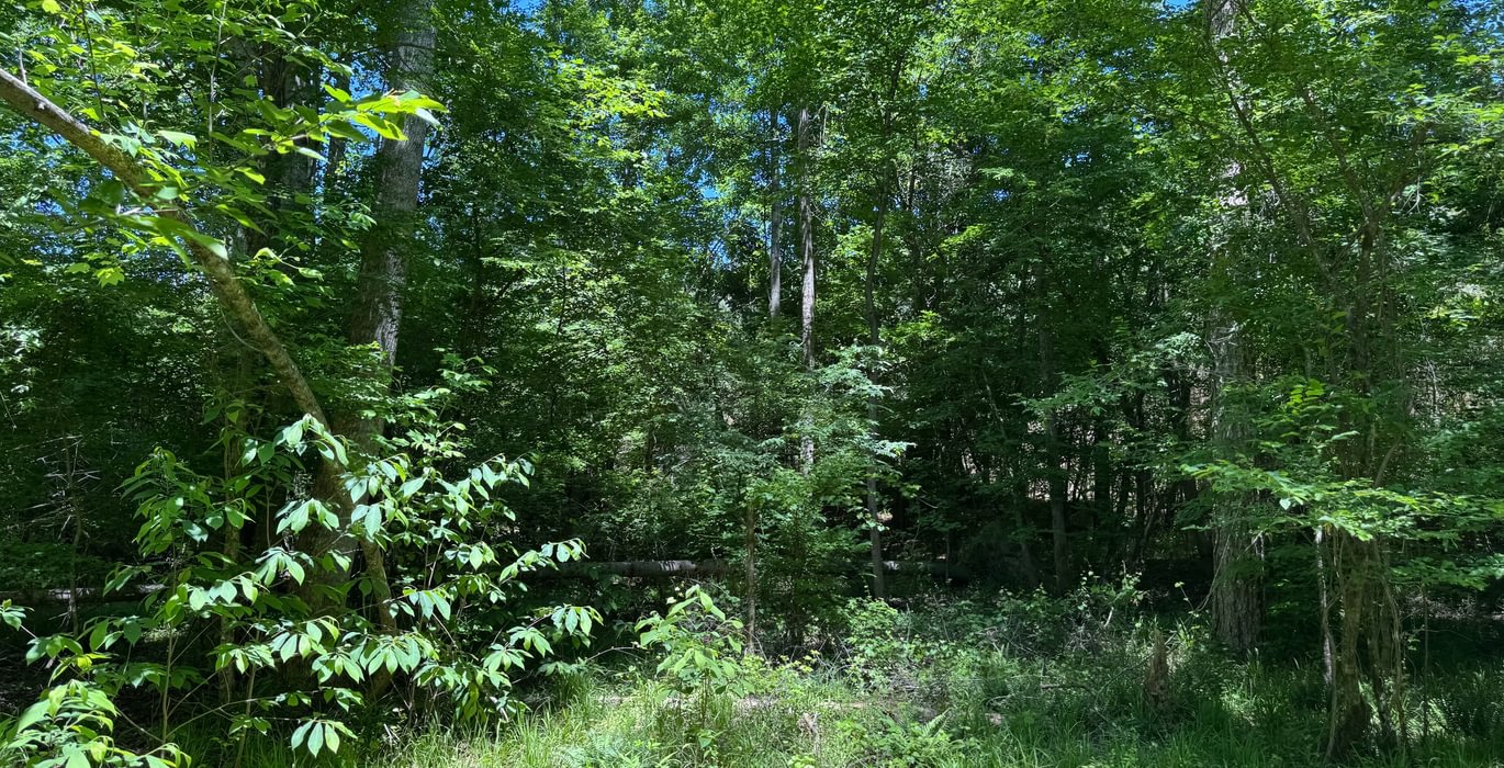 565 IMG 9306