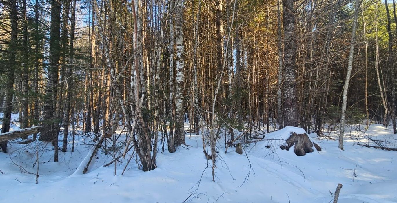 567 11 Lot off Woods Road