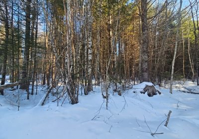 567 11 Lot off Woods Road