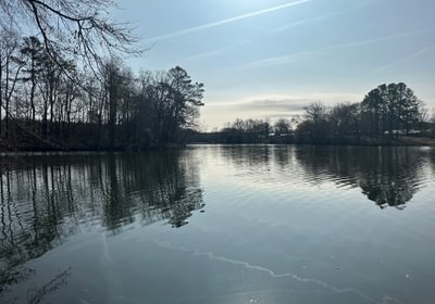 567 IMG 2727