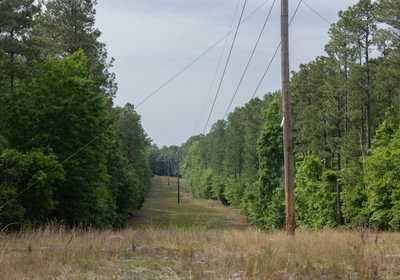 569 796 A0820 1