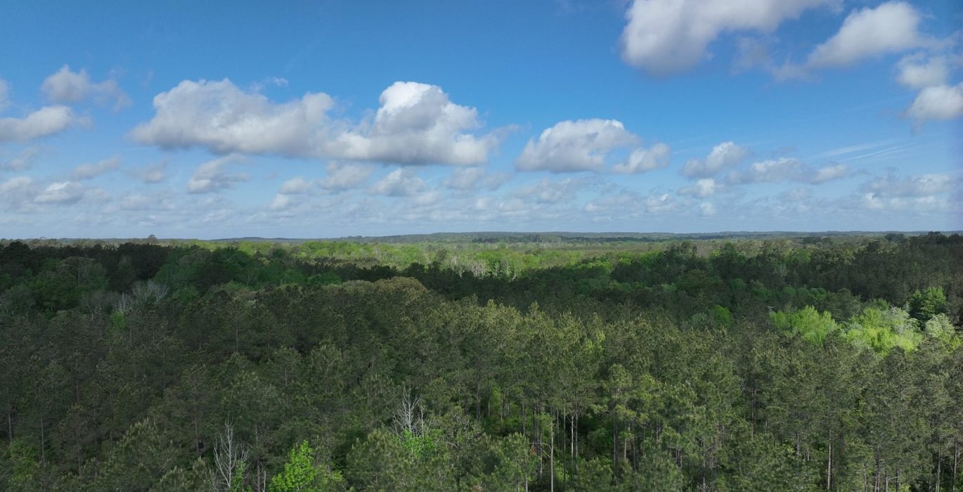 569 DJI 20260414224425 0001 D