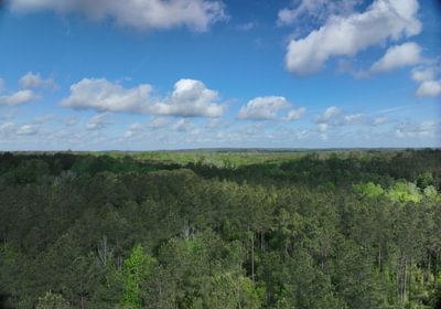 569 DJI 20260414224425 0001 D