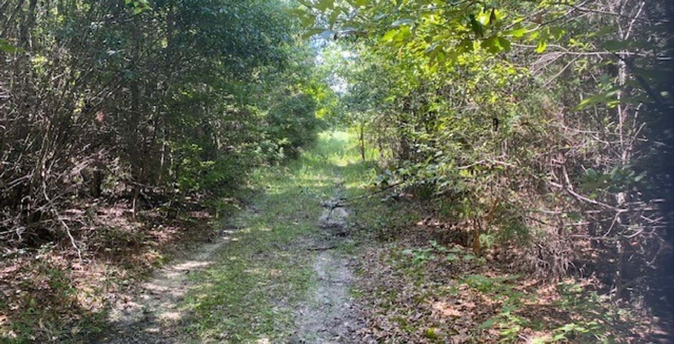 569 gum springs 23