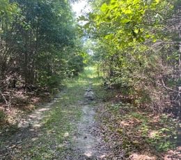 569 gum springs 23