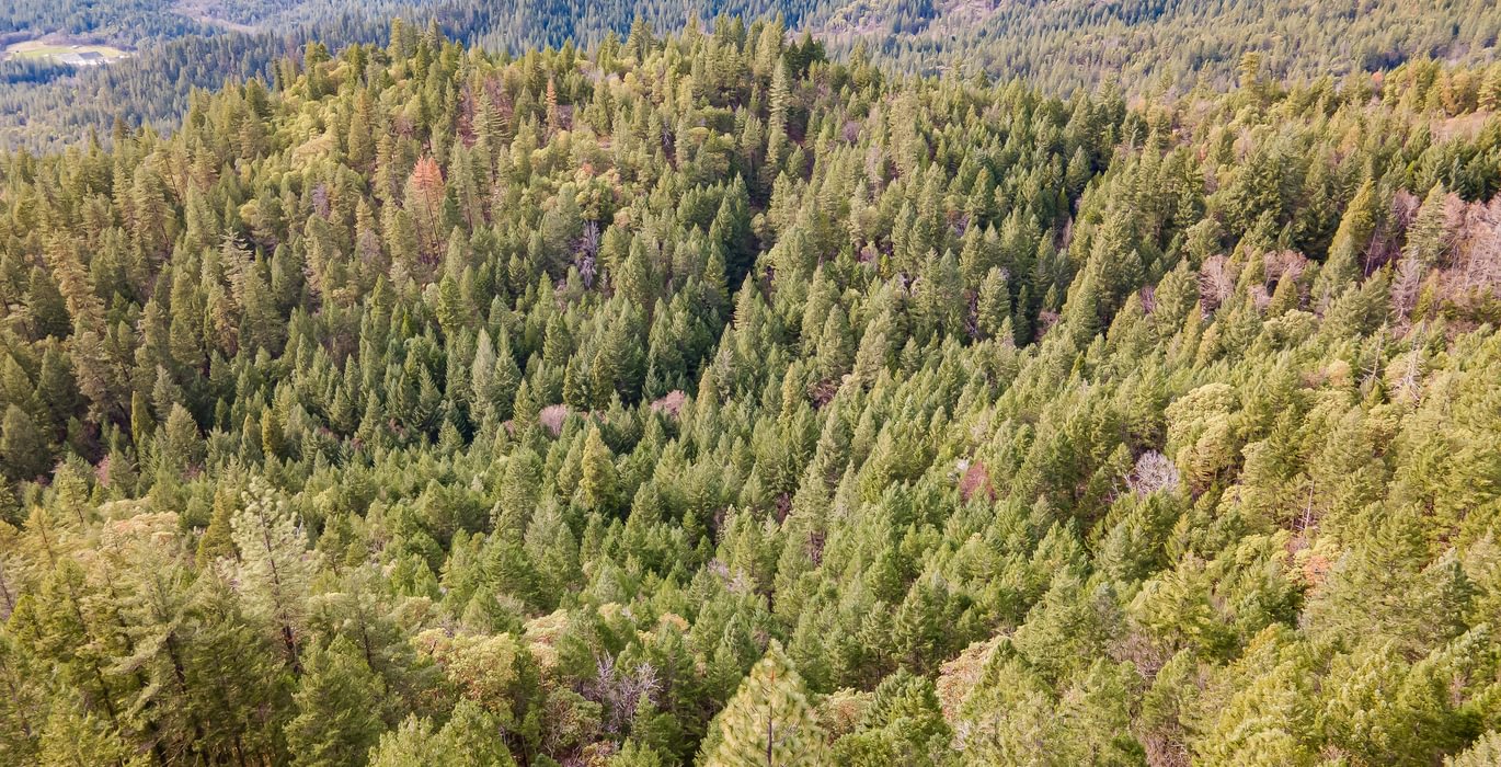 56 DJI 0816 HDR Image Merge
