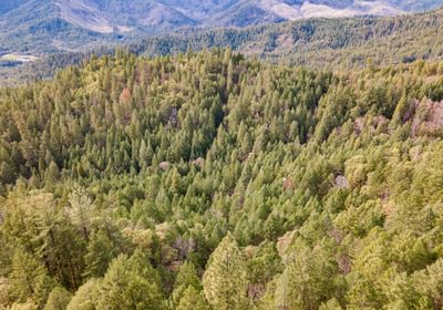 56 DJI 0816 HDR Image Merge