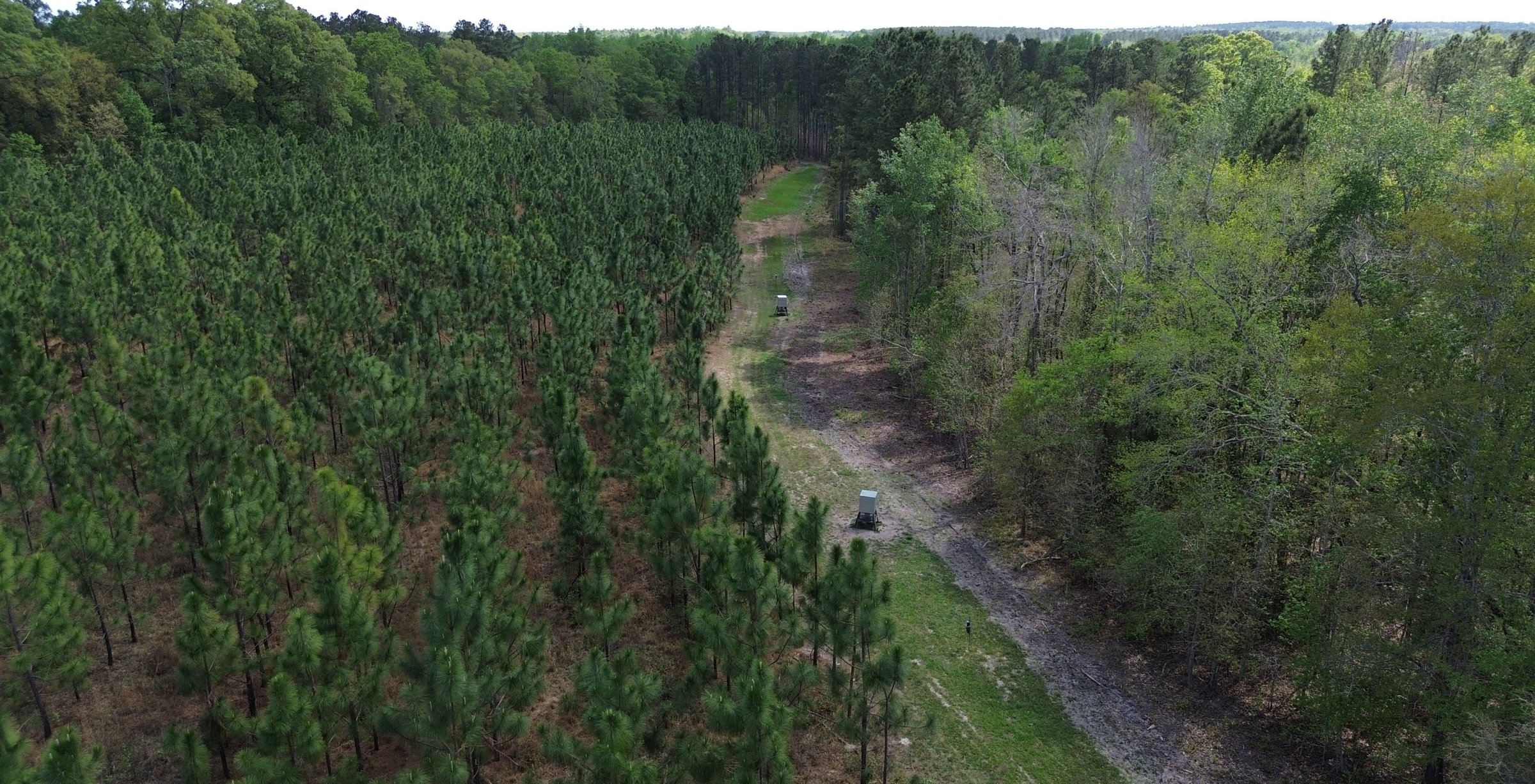 Photo 6 of Old Poor Robin Sportsman Tract 2, 24.6 acres, Screven County, Georgia
