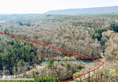 56 DJI 20260316095535 0013 D Medium