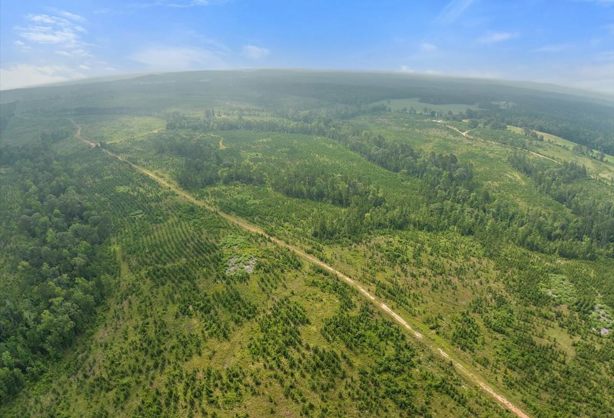 Photo 16 of L Jordan, 574 acres, Cherokee County, Texas
