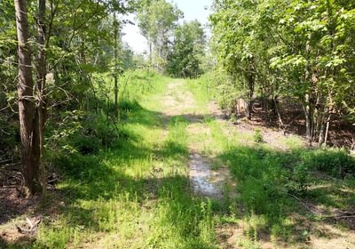 570 AFM Lambert Tract Photo 10