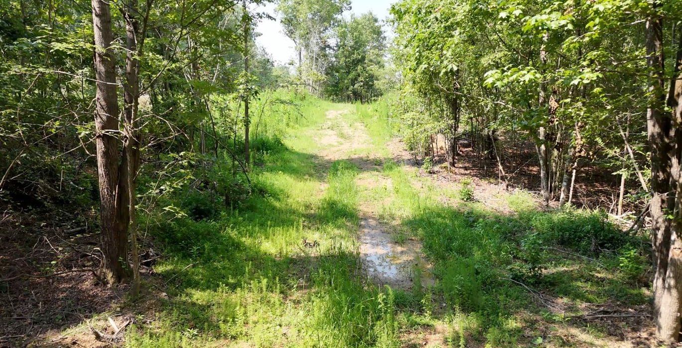570 AFM Lambert Tract Photo 10