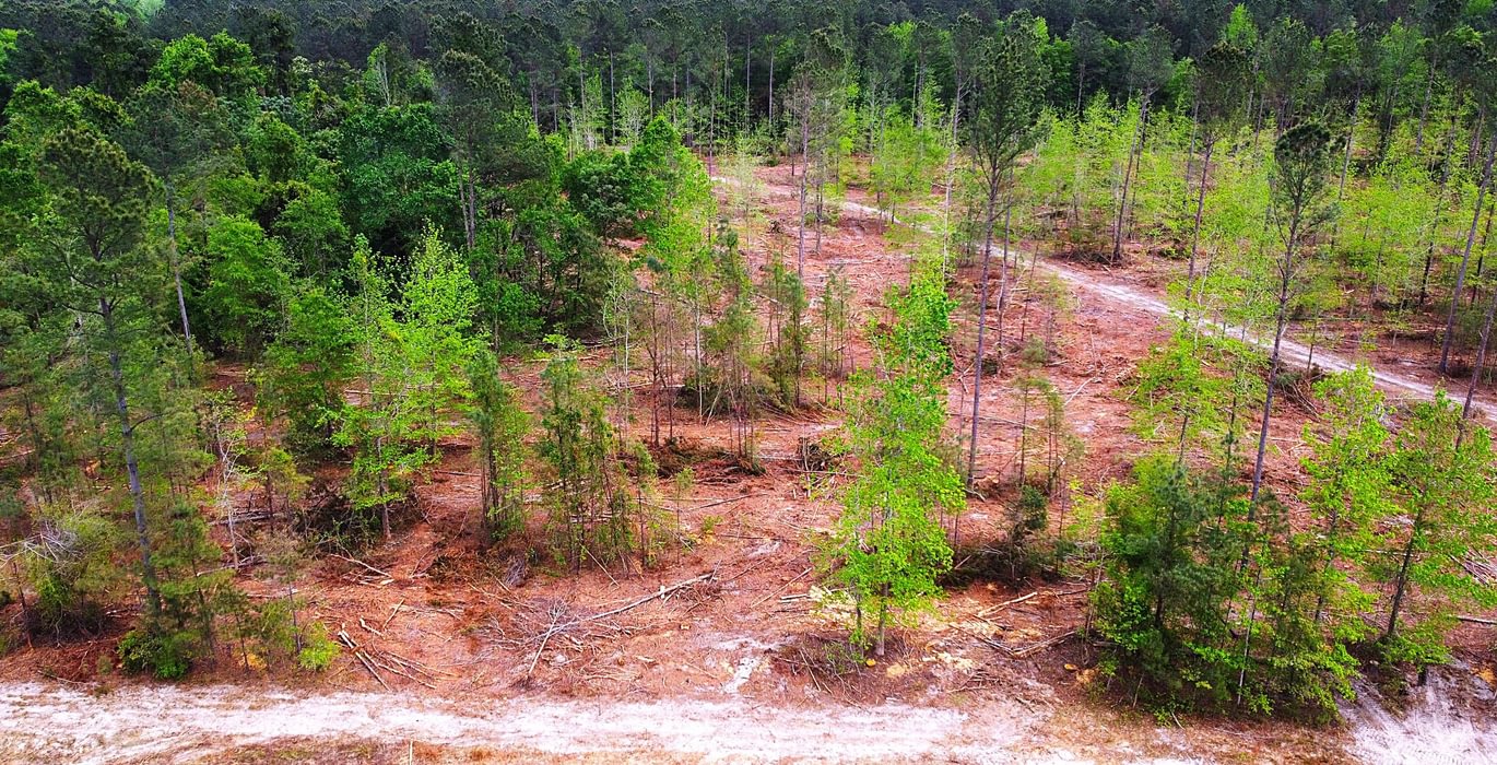 570 dji fly 20260407 145850 222 1775588505516 photo optimized