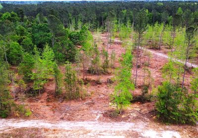 570 dji fly 20260407 145850 222 1775588505516 photo optimized