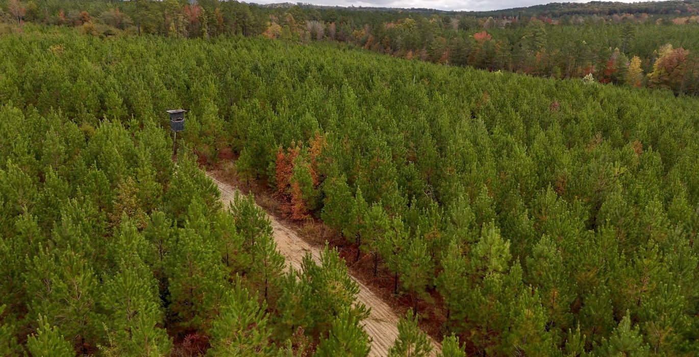 572 AFM Richmond 126 Tract Photo 22