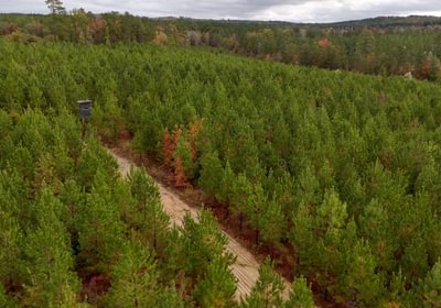 572 AFM Richmond 126 Tract Photo 22