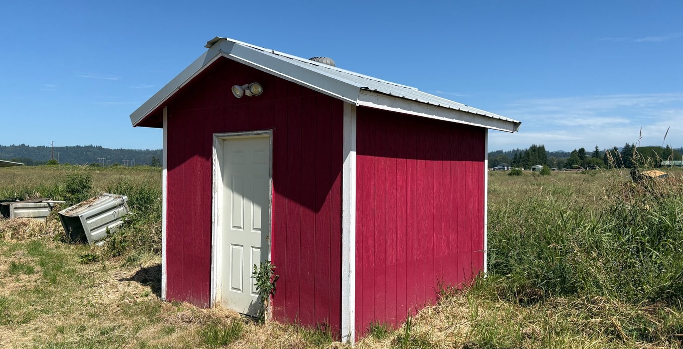 572 IMG 1337