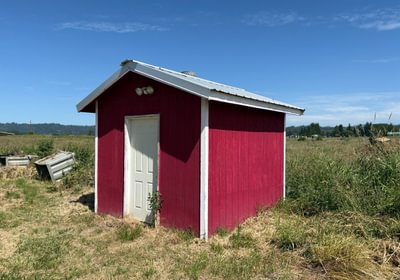 572 IMG 1337