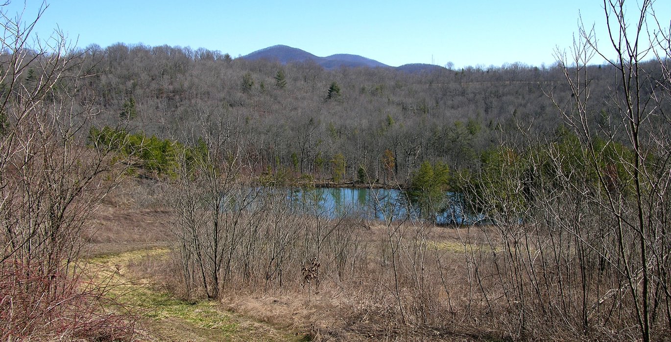 572 Lancing Pond From Hill