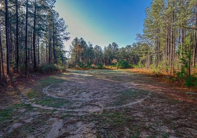 573 AFM Pines at Devereux 4