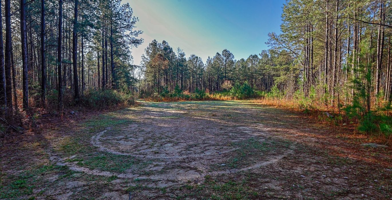 573 AFM Pines at Devereux 4