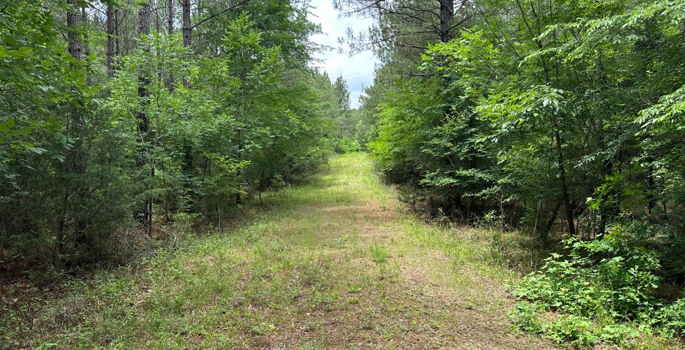 573 IMG 1740