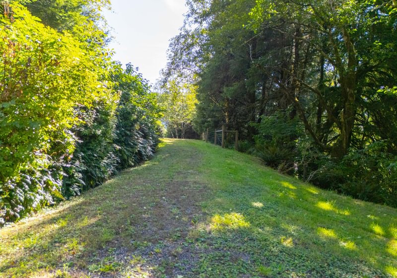 Photo 25 of Sitka Woodland, 35.37 acres, Lincoln County, Oregon