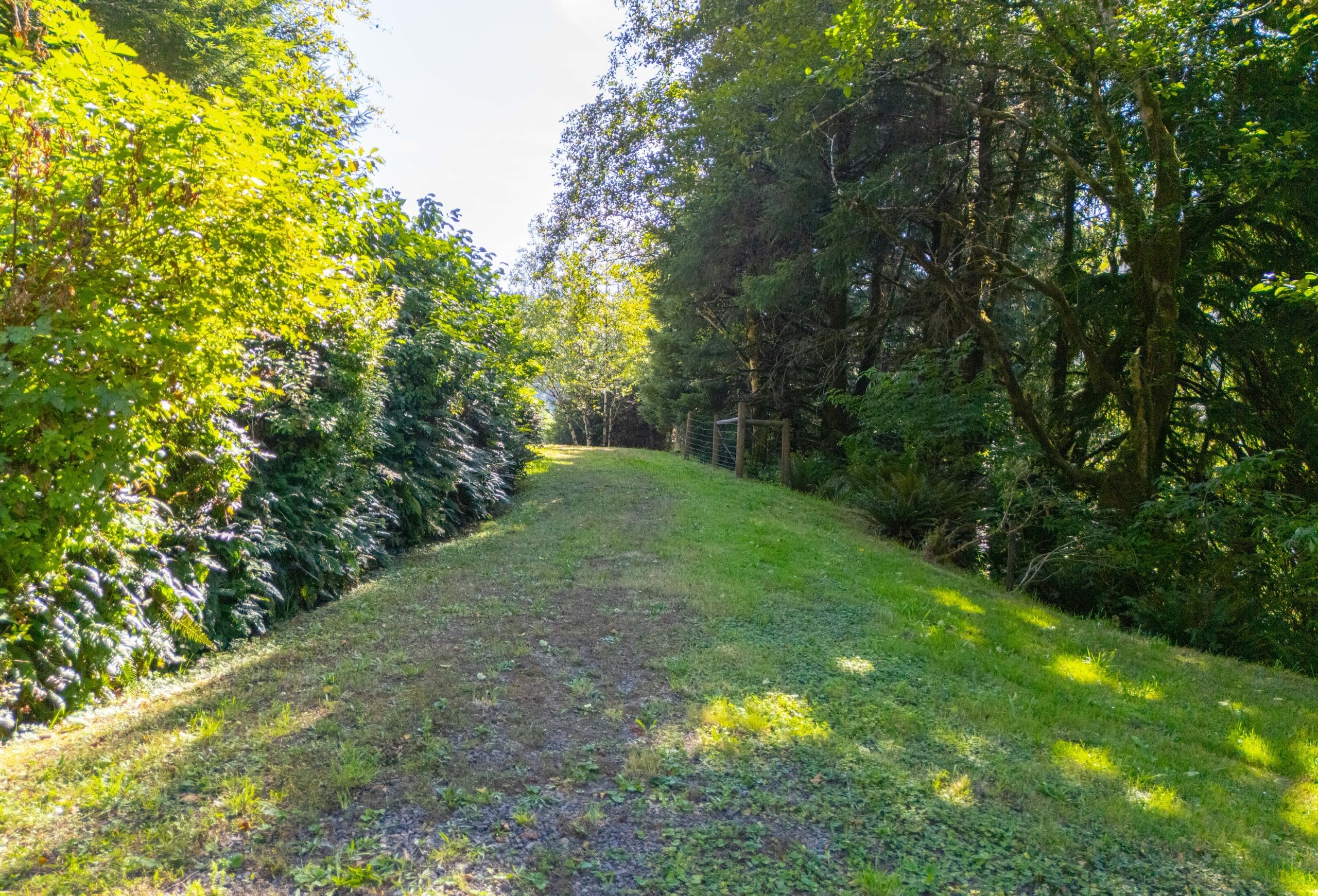 Photo 25 of Sitka Woodland, 35.37 acres, Lincoln County, Oregon