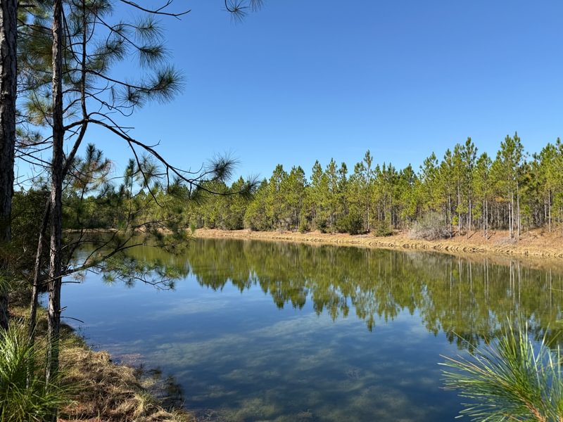 Photo 1 of Howard Creek, 1,632.7 acres, Gulf County, Florida
