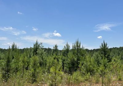575 IMG 5800