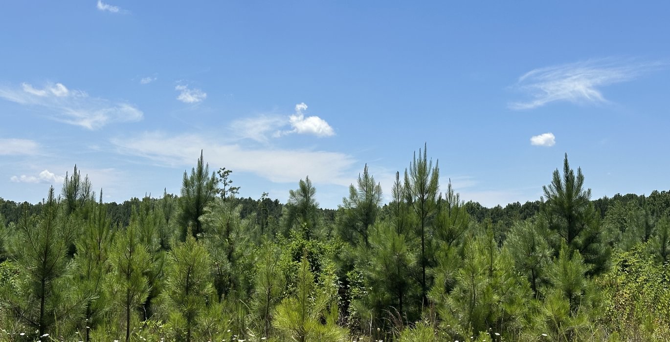 575 IMG 5800