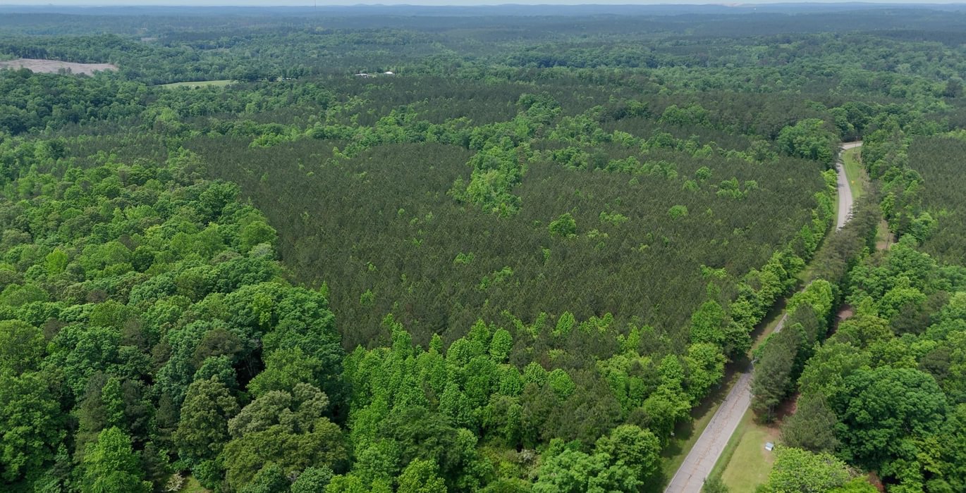 575 Mc Call Capelsie 8 Copy