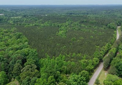 575 Mc Call Capelsie 8 Copy