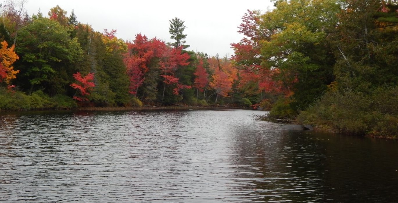 576 2017 10 08 Sherwood Pond another south frontage view