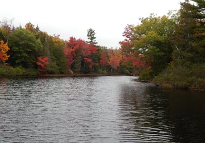 576 2017 10 08 Sherwood Pond another south frontage view