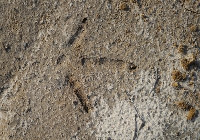 577 Church Hill pic12