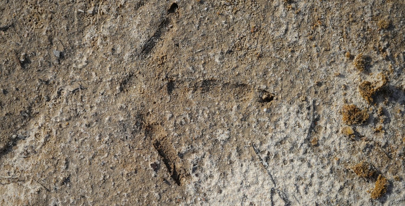 577 Church Hill pic12