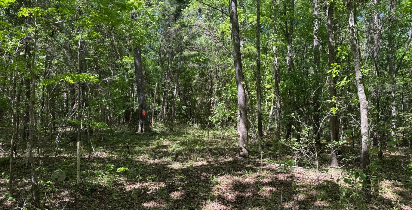 577 IMG 4255 Copy Copy