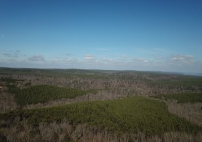 578 DJI 0133