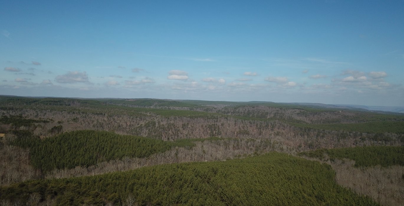 578 DJI 0133