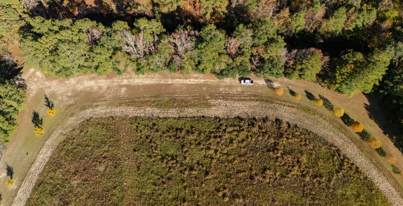 578 DJI 20251106142017 0477 D 1