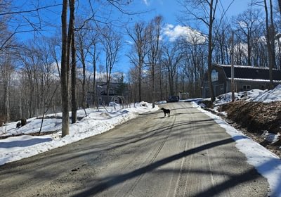 578 Driveway with garage and house in dist