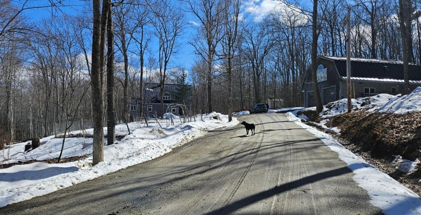 578 Driveway with garage and house in dist