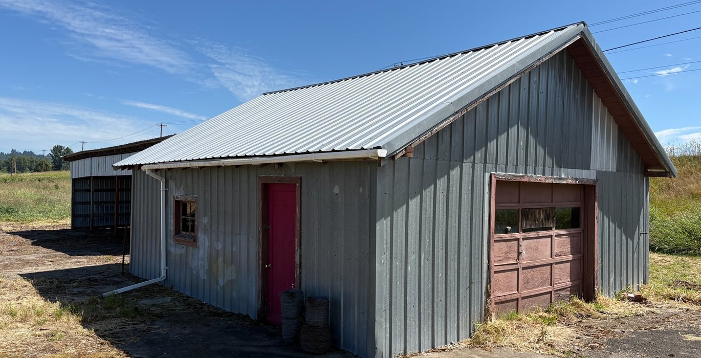 579 IMG 1336