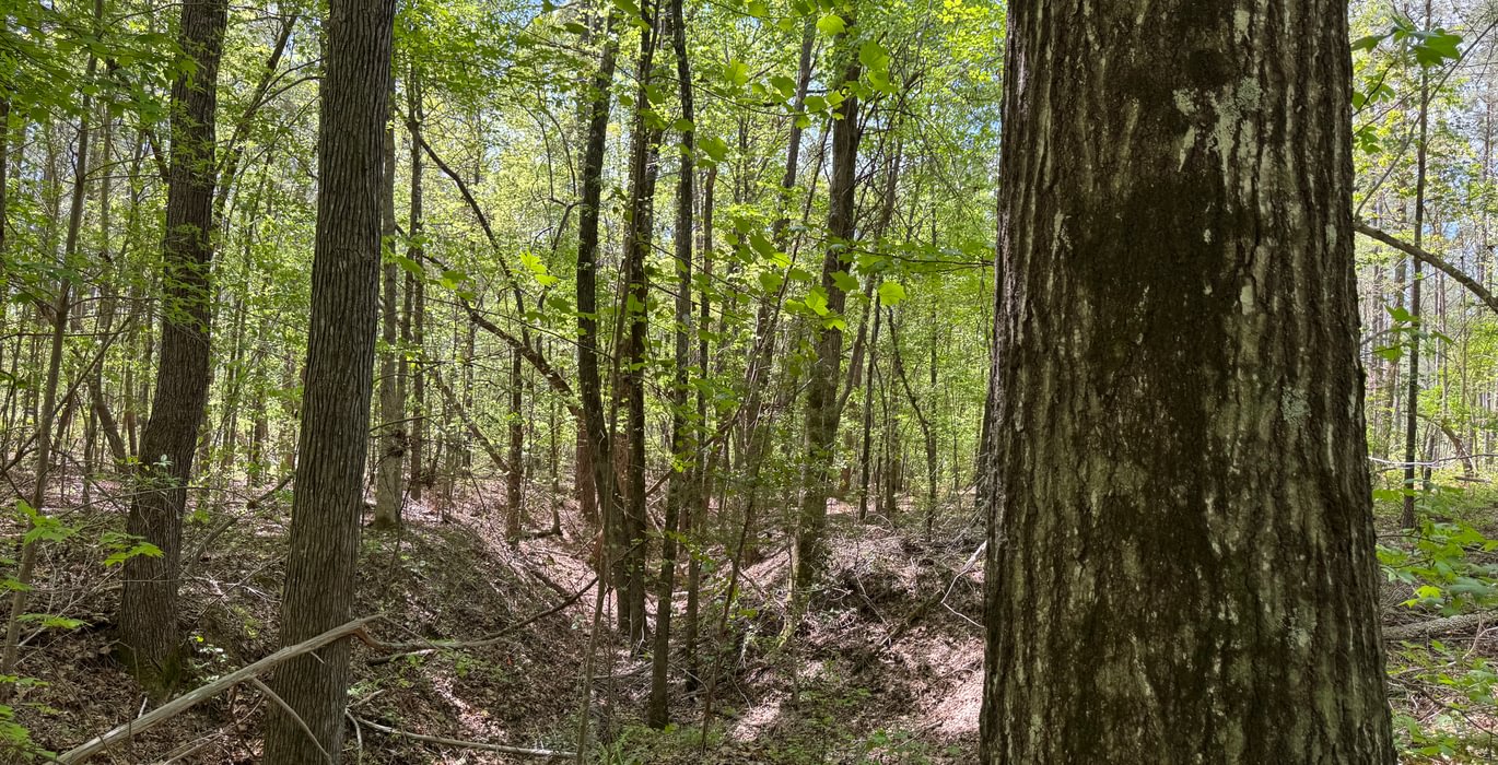 579 IMG 7279