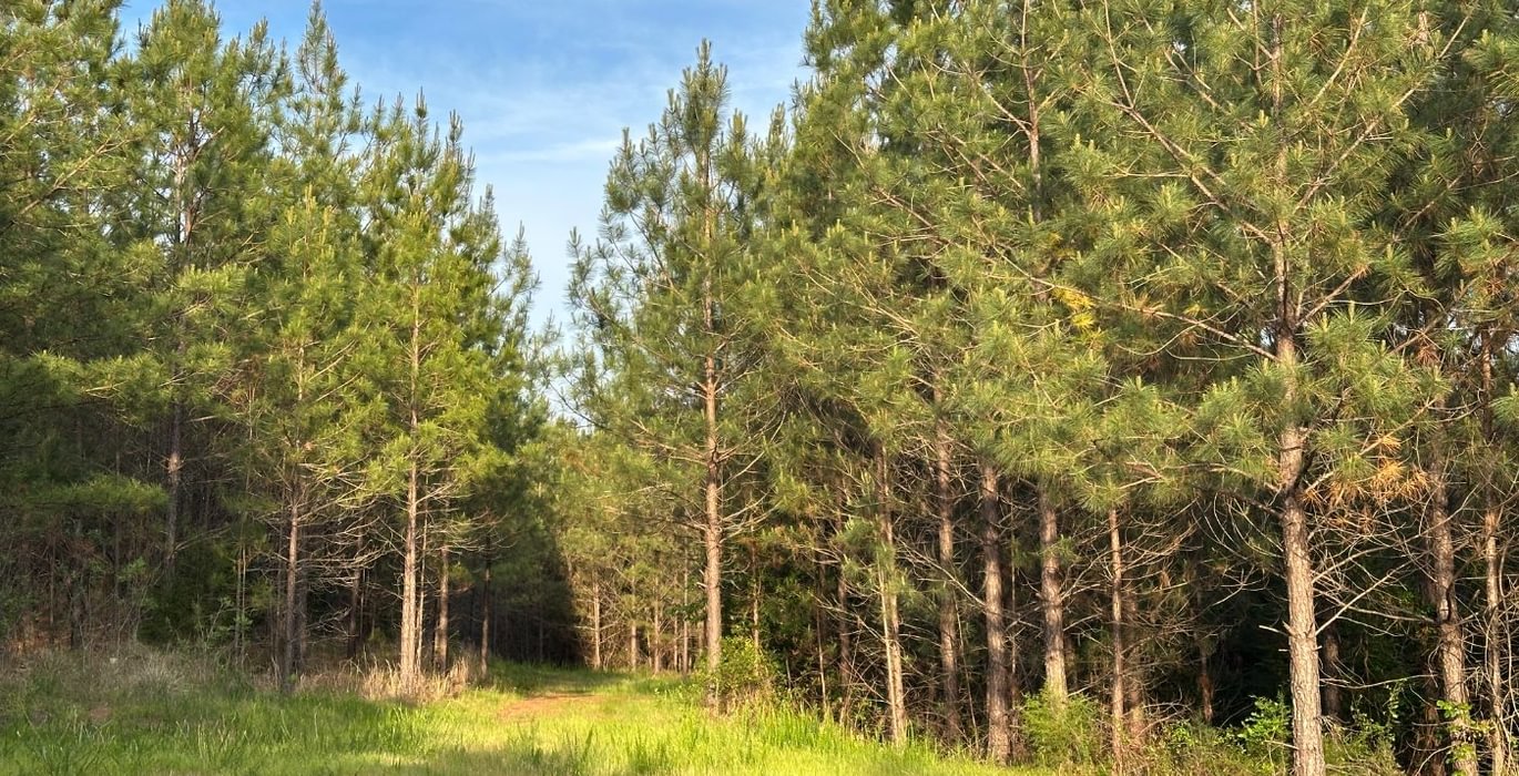 580 IMG 0969