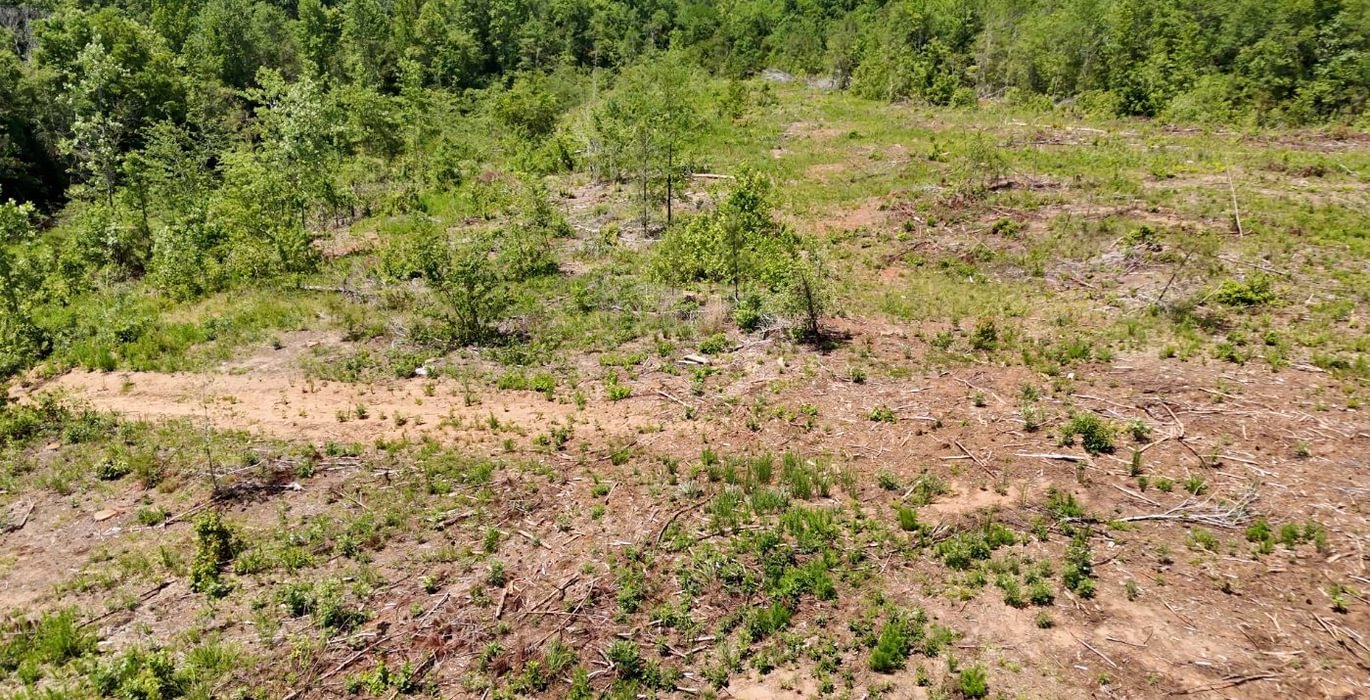 581 AFM Big Mountain Creek Photo 16